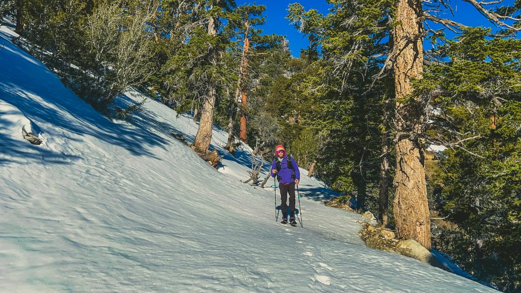 Walking on top of the snow in the morning.
