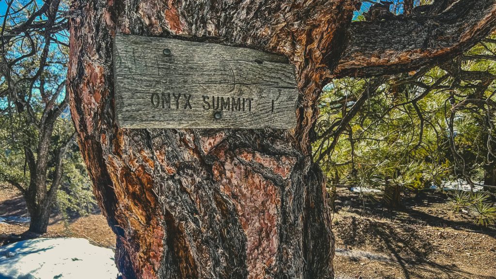 Trail sign to Onyx summit where the DWTH touches the PCT.