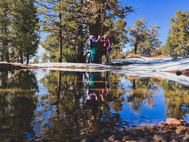 DWTH Day 60: Out-and-Back Finish in Snow