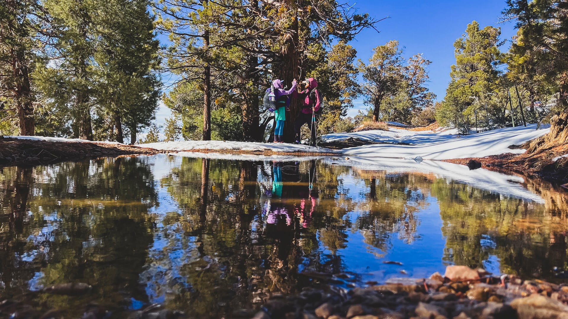 We finished the DWTH on the PCT!