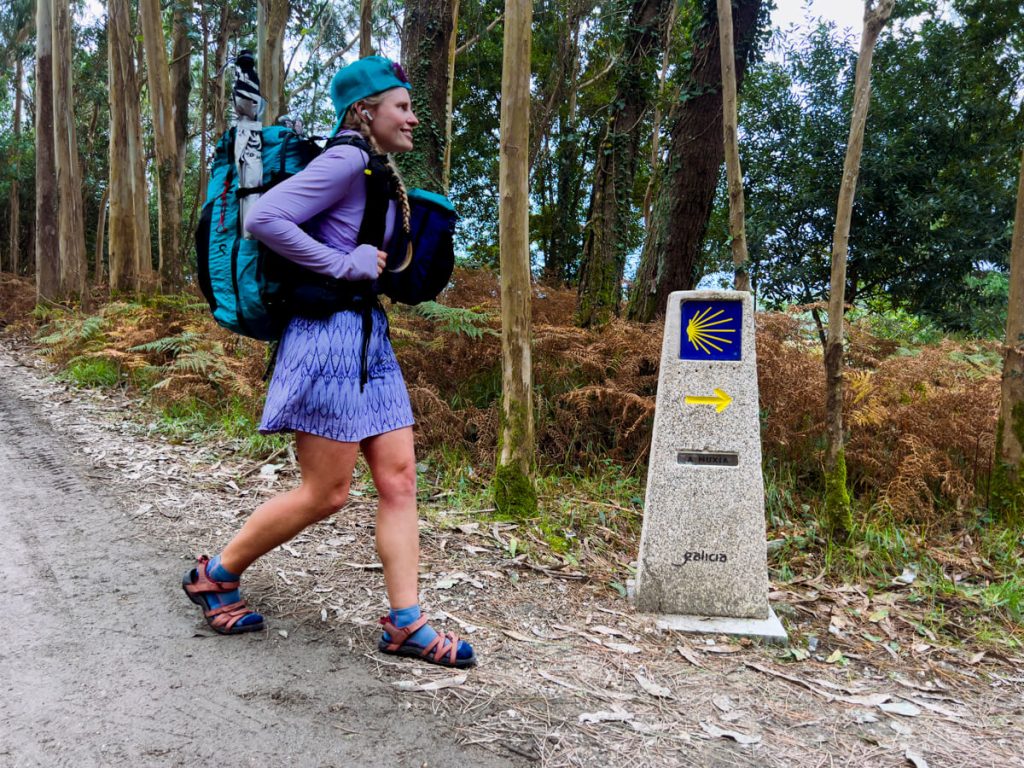 Pilgrim walking from Finisterre to Mux&iacute;a through a eucalyptus forest. 