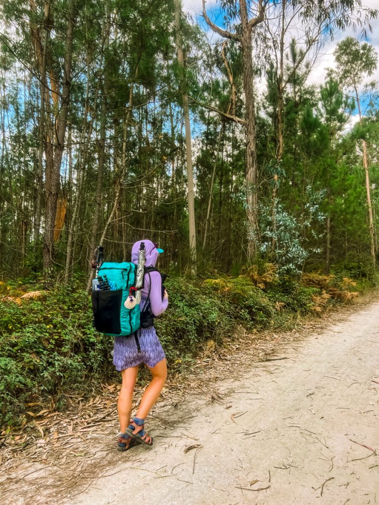 Veggie walking on the Portuguese Camino.
