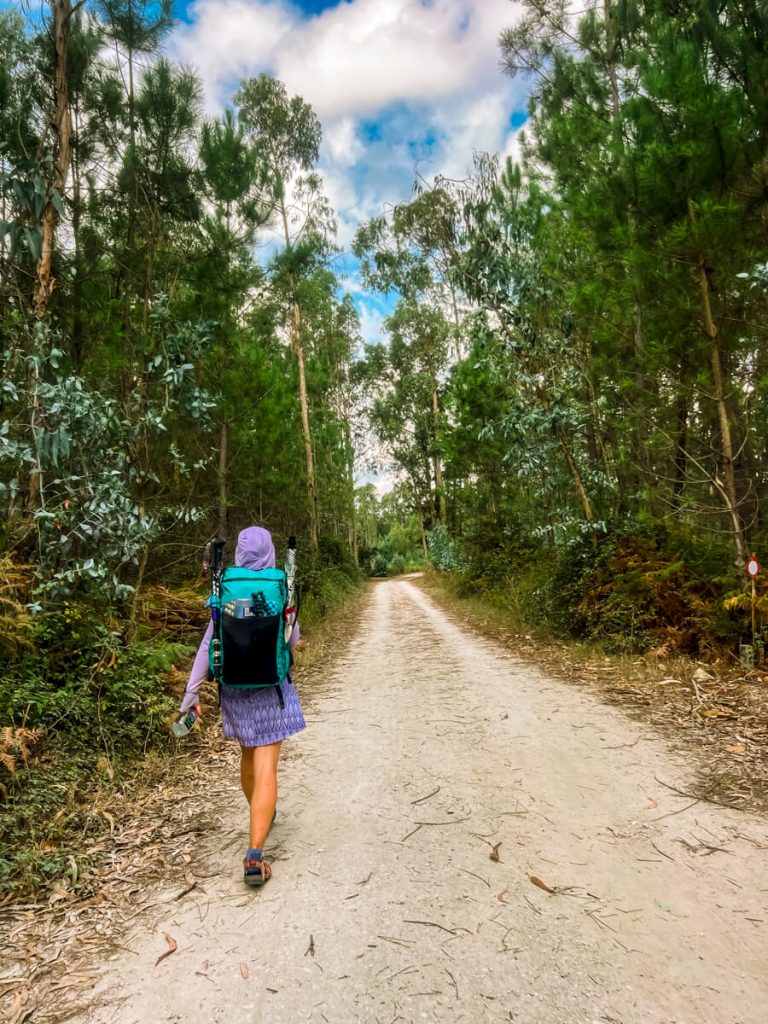 Walking through the Eucalyptus forests on the Portuguese Camino.
