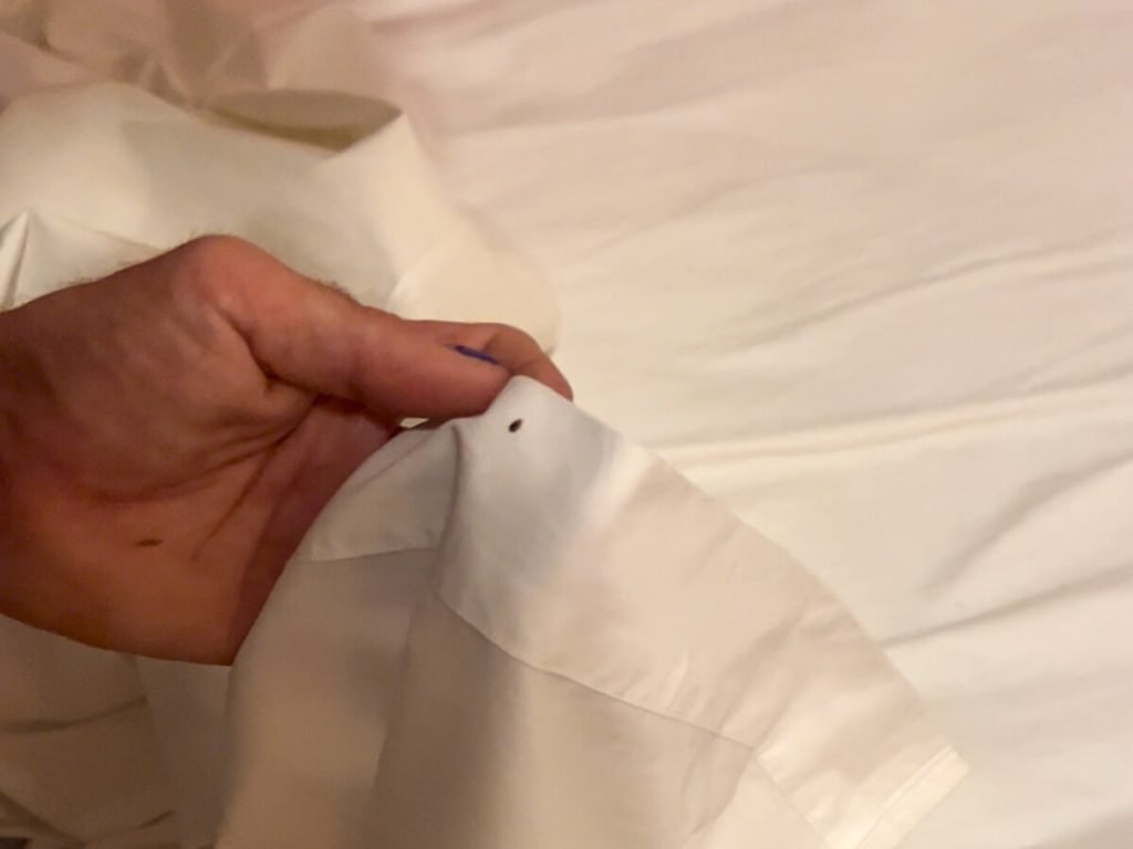 Always check for bed bugs before you do anything else at each albergue on the Camino de Santiago.