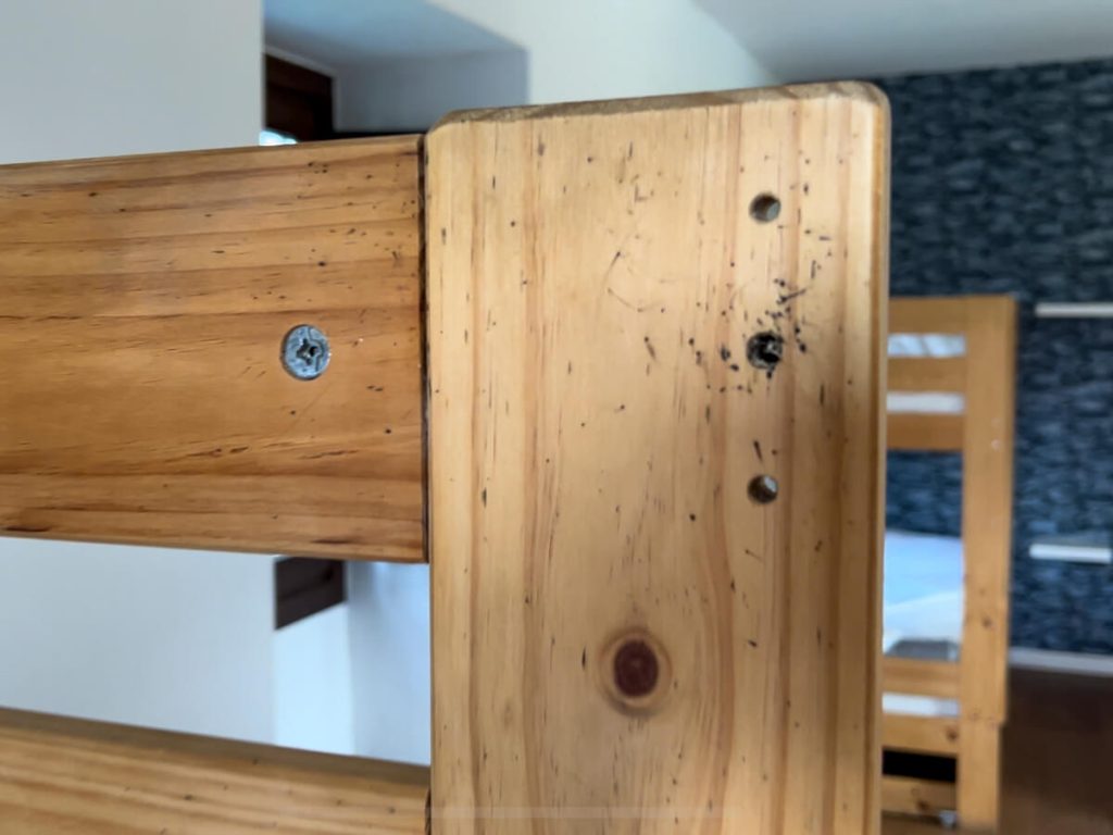 Tiny black dots of bed bug poop showing where they live in wood bed frames.