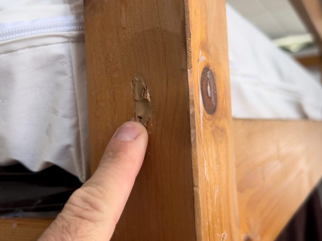 Wood bed frame hole sealed with caulk to prevent bed bugs from living in them.