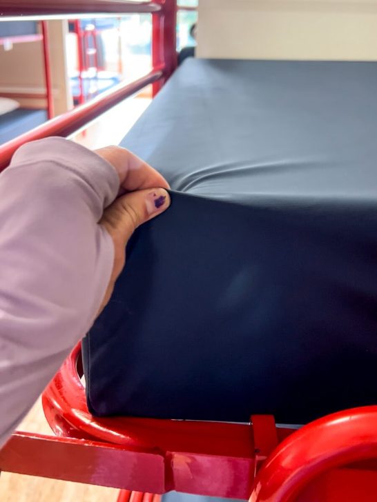 Vinyl mattress covers prevent bed bugs from living in the mattress.