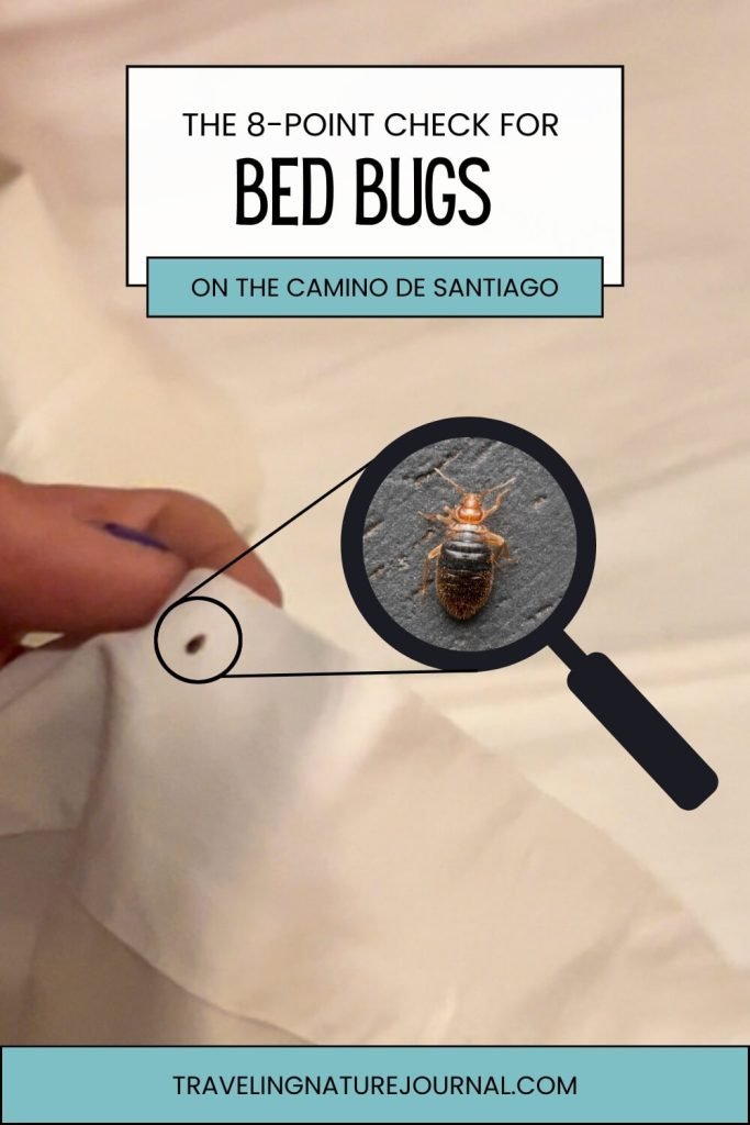 How to check for bed bugs on the Camino de Santiago in an 8-point check.