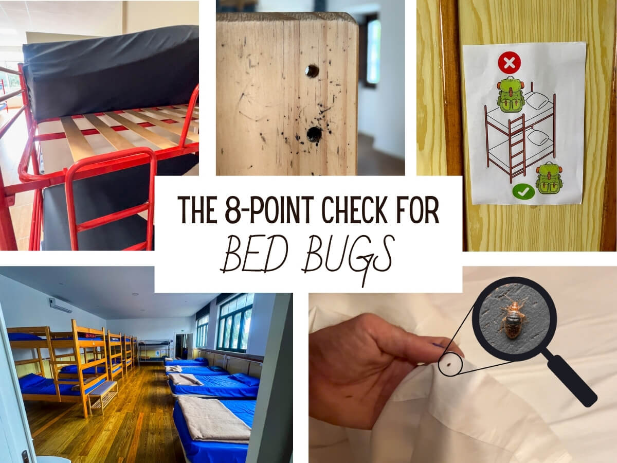 Photos depicting where to check for bed bugs on the Camino de Santiago: a zoomed bed bug on sheets, black dots of bed bug poop, and be wary of the blankets!