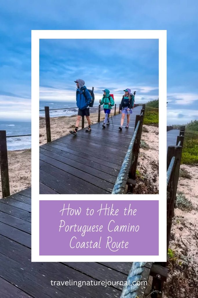 After hiking the Portuguese Camino's coastal route, I'm here to help you hike it yourself!  Here's everything you need to know.