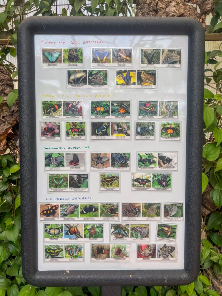 Tucson Botanical Gardens Butterfly Sign