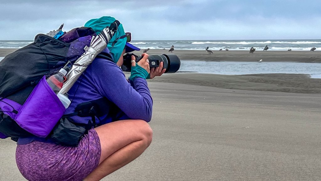 Veggie photographing pelicans on the Oregon Coast Trail.
