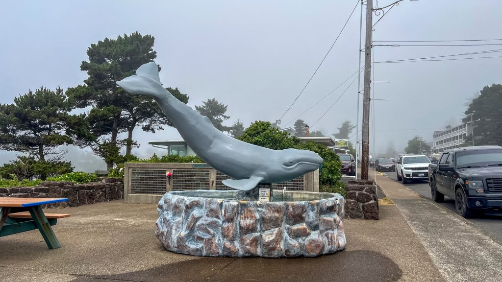 This whale statue in Depoe Bay, Oregon spouts water at regular intervals.