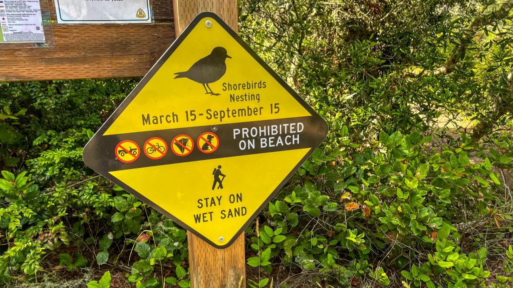 A warning sign showing prohibited activities on dry sand during Snowy Plover nesting season along the Oregon Coast Trail between March 15-September 15.