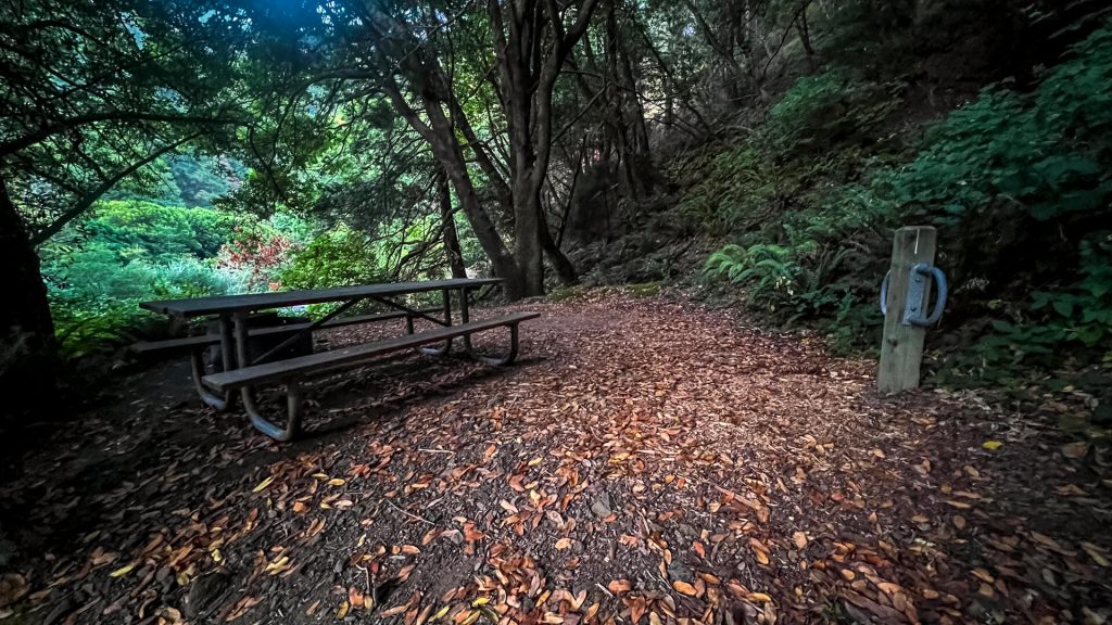 Humbug State Park Hiker/Biker campsite.
