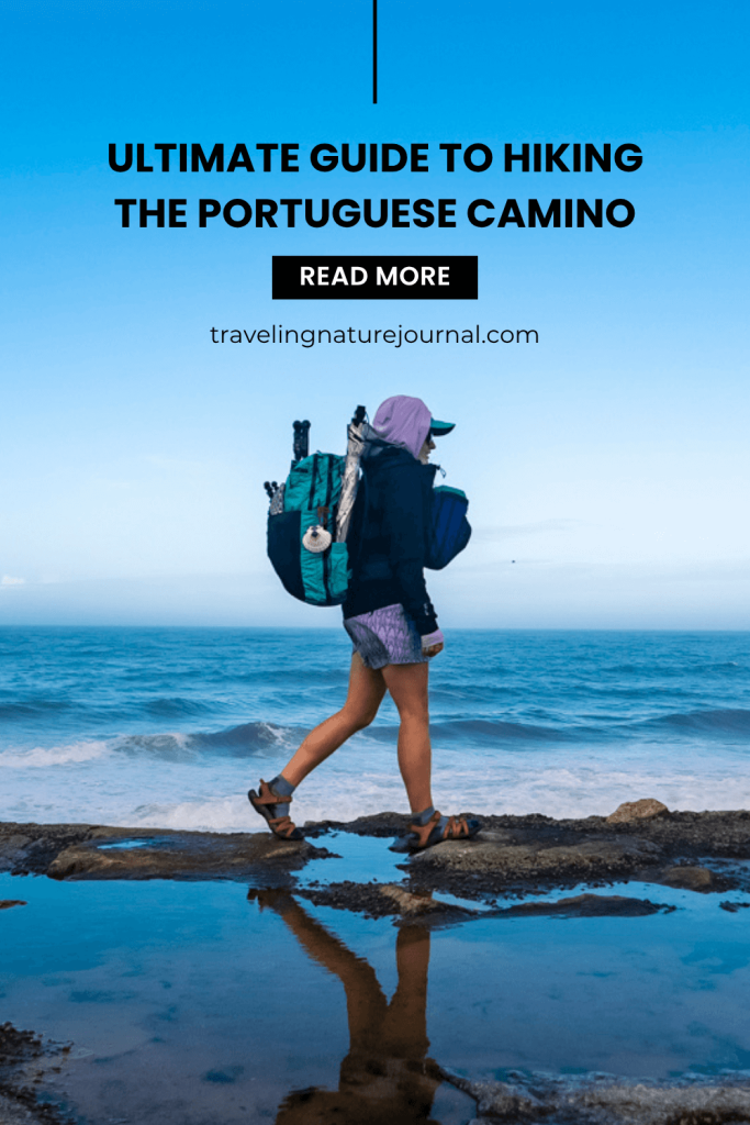 Here's everything you need to know about the Portuguese Camino from albergues to restaurants to best season and so much more! 