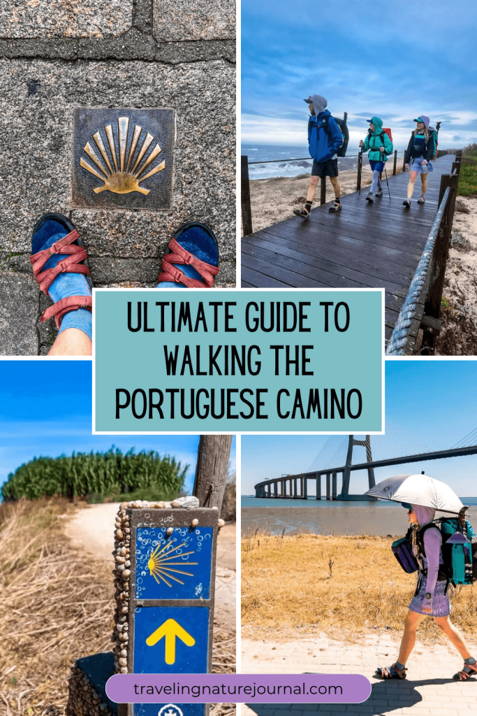 Here's everything you need to know about the Portuguese Camino from albergues to restaurants to best season and so much more! 