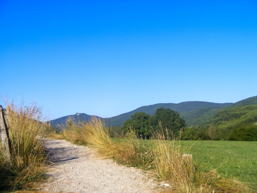 Walking path on the Camino Frances.