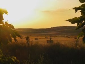 Sunrise on the meseta walking the Camino de Santiago Frances.