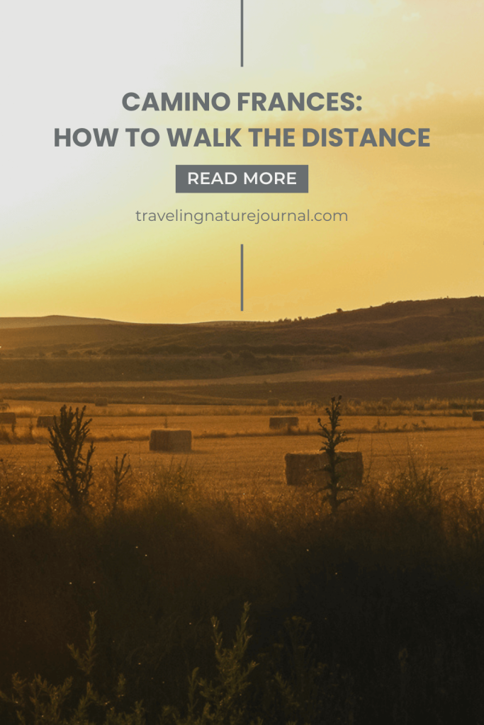 Everything you need to know about walking the Camino Frances from where to stay, what to eat, how to check for bed bugs, and how to get there!