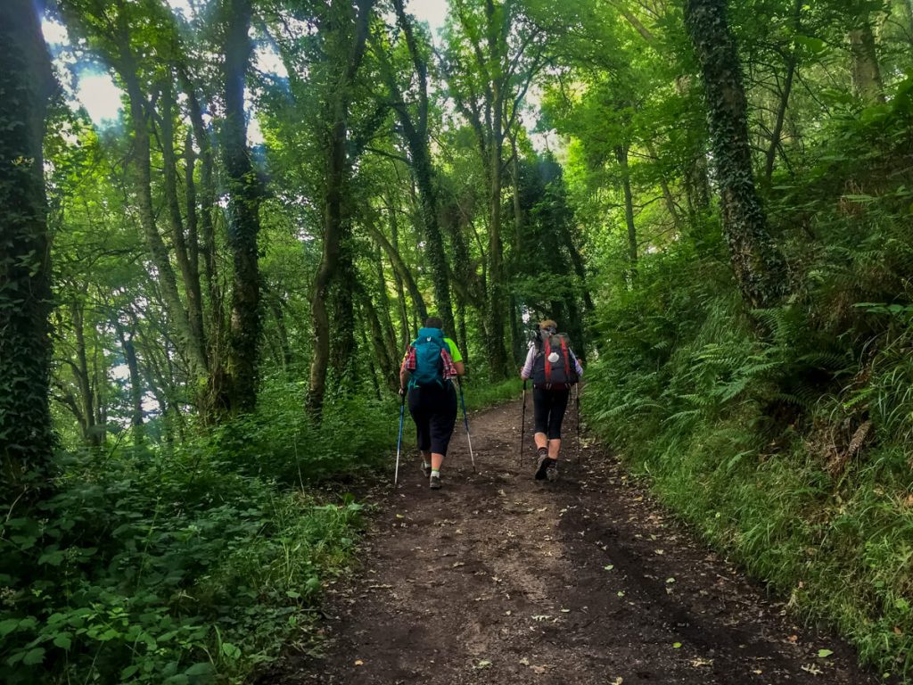 Two pilgrims on a wide dirt trail on the Camino Primitivo.