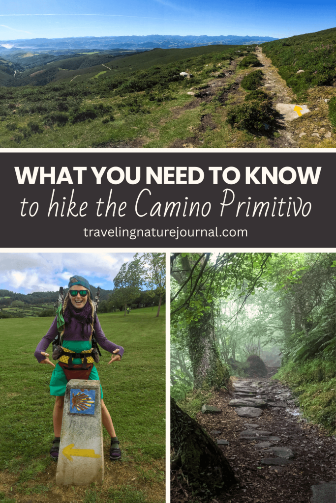 Here's everything you need to know before walking the Camino Primitivo including: difficulty, length, transportation, and a packing list!