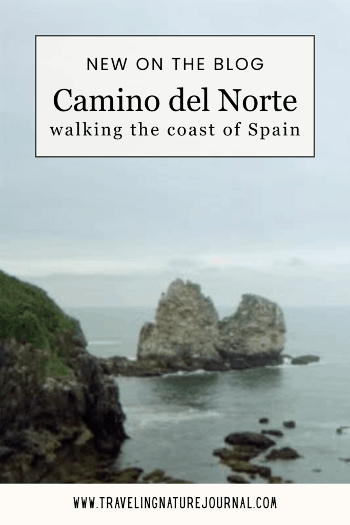 Read about how you can hike the Camino del Norte along the coast of Spain!
