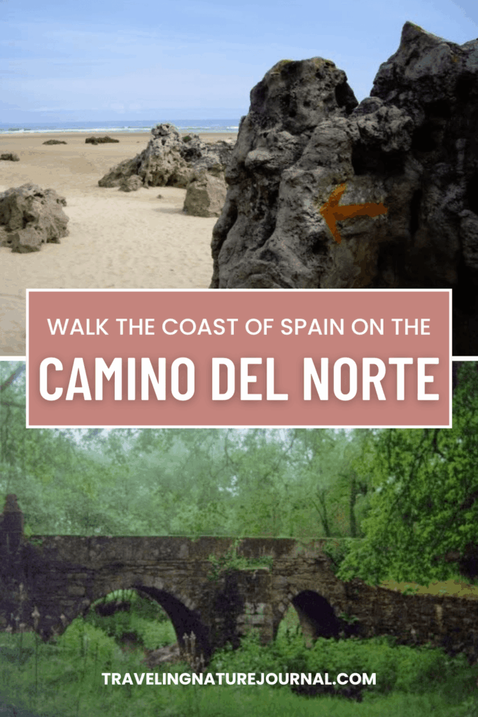 Walk along both the beach and ancient forested stone bridges on the Camino del Norte in Spain.
