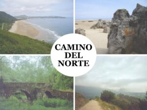 Four scenes from the Camino del Norte: from the beach to the forest to ancient stone bridges.